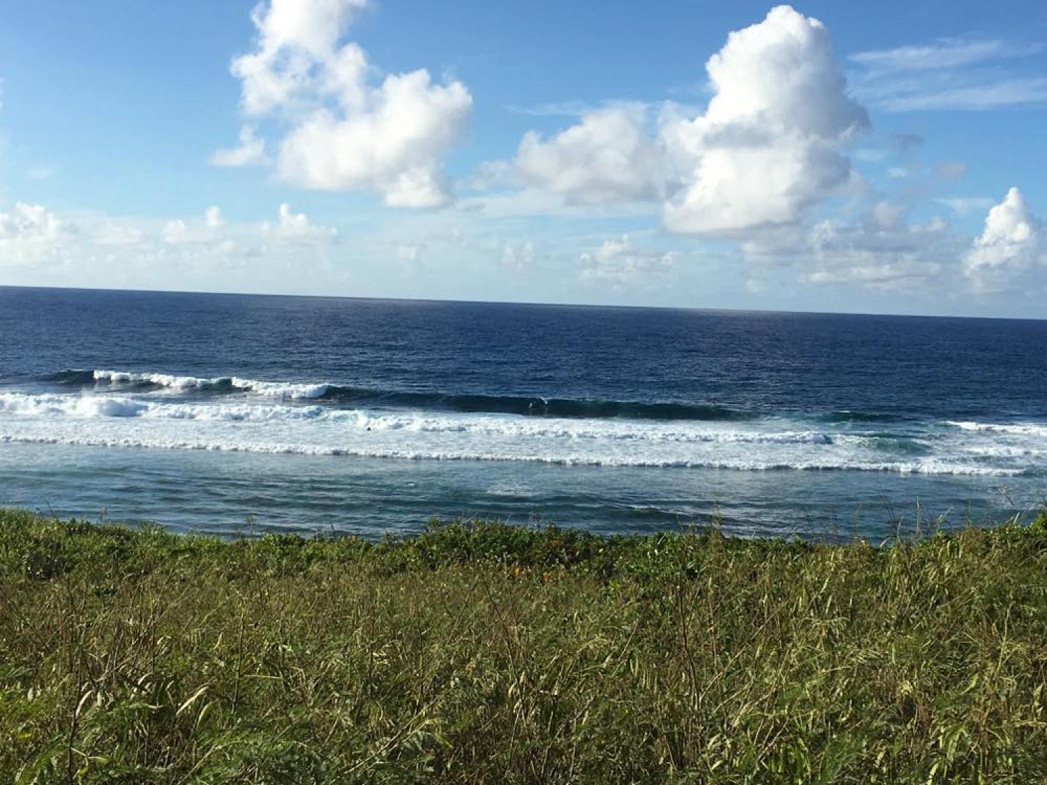 Aug 24 suicide point wave information 2