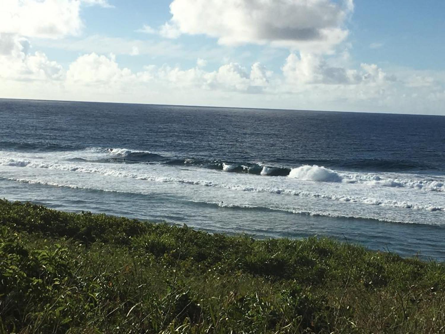 Aug 24 suicide point wave information 3