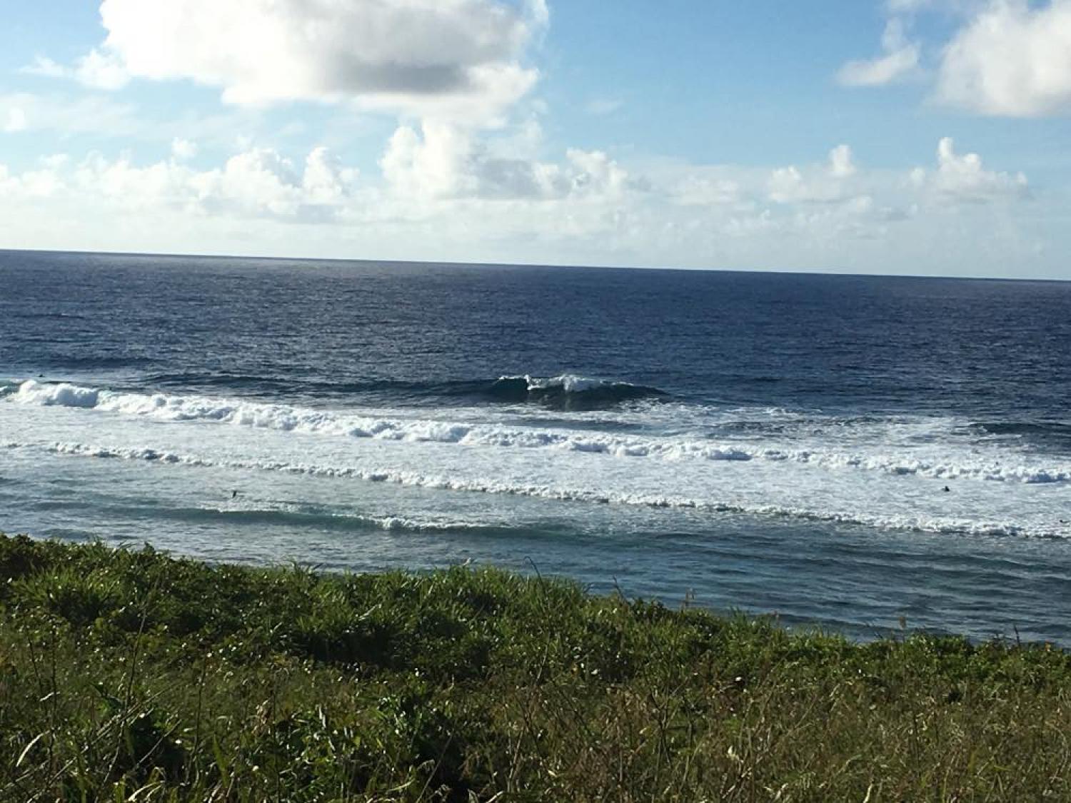 Aug 24 suicide point wave information 4