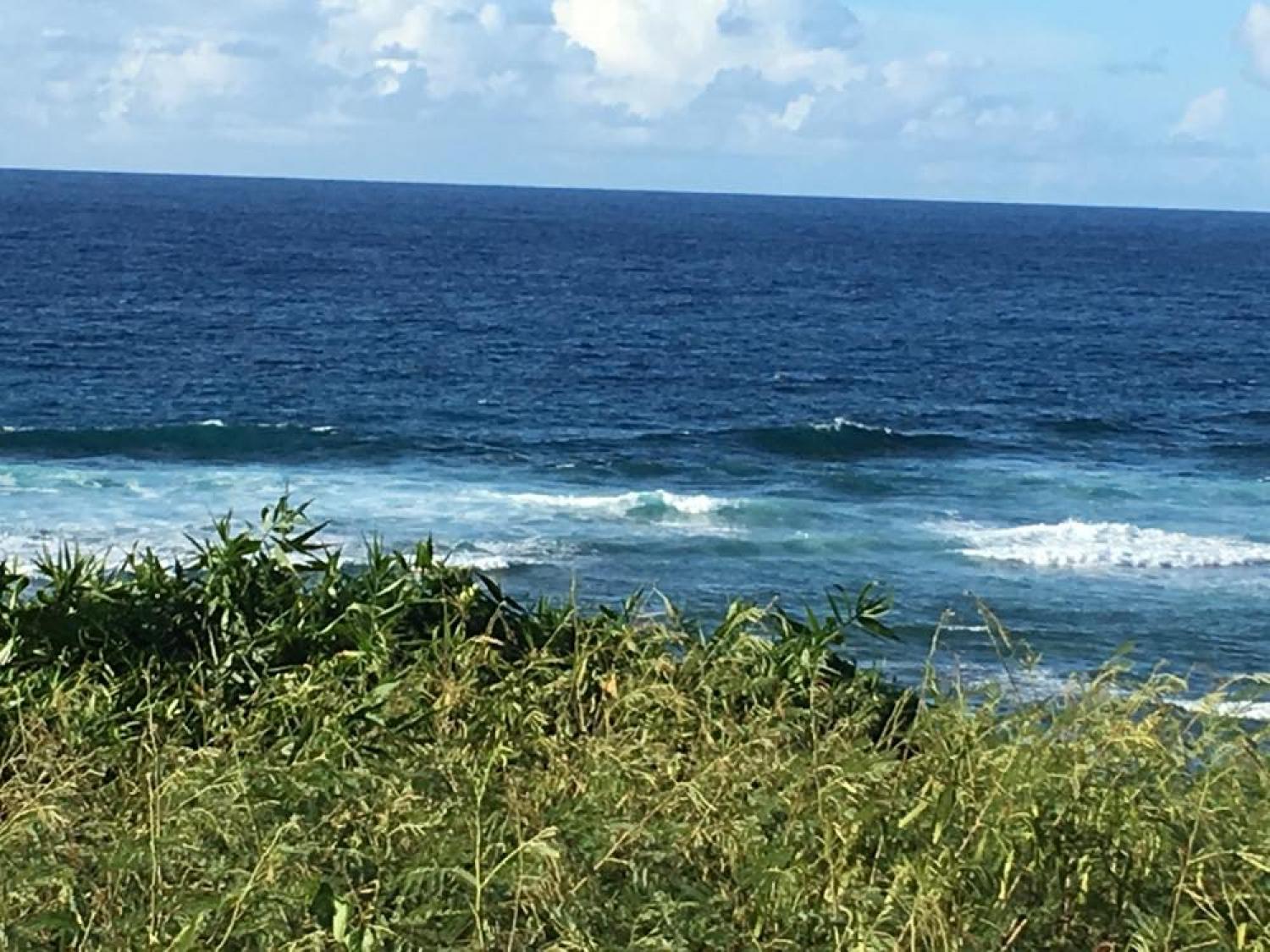 Aug 24 suicide point wave information 5
