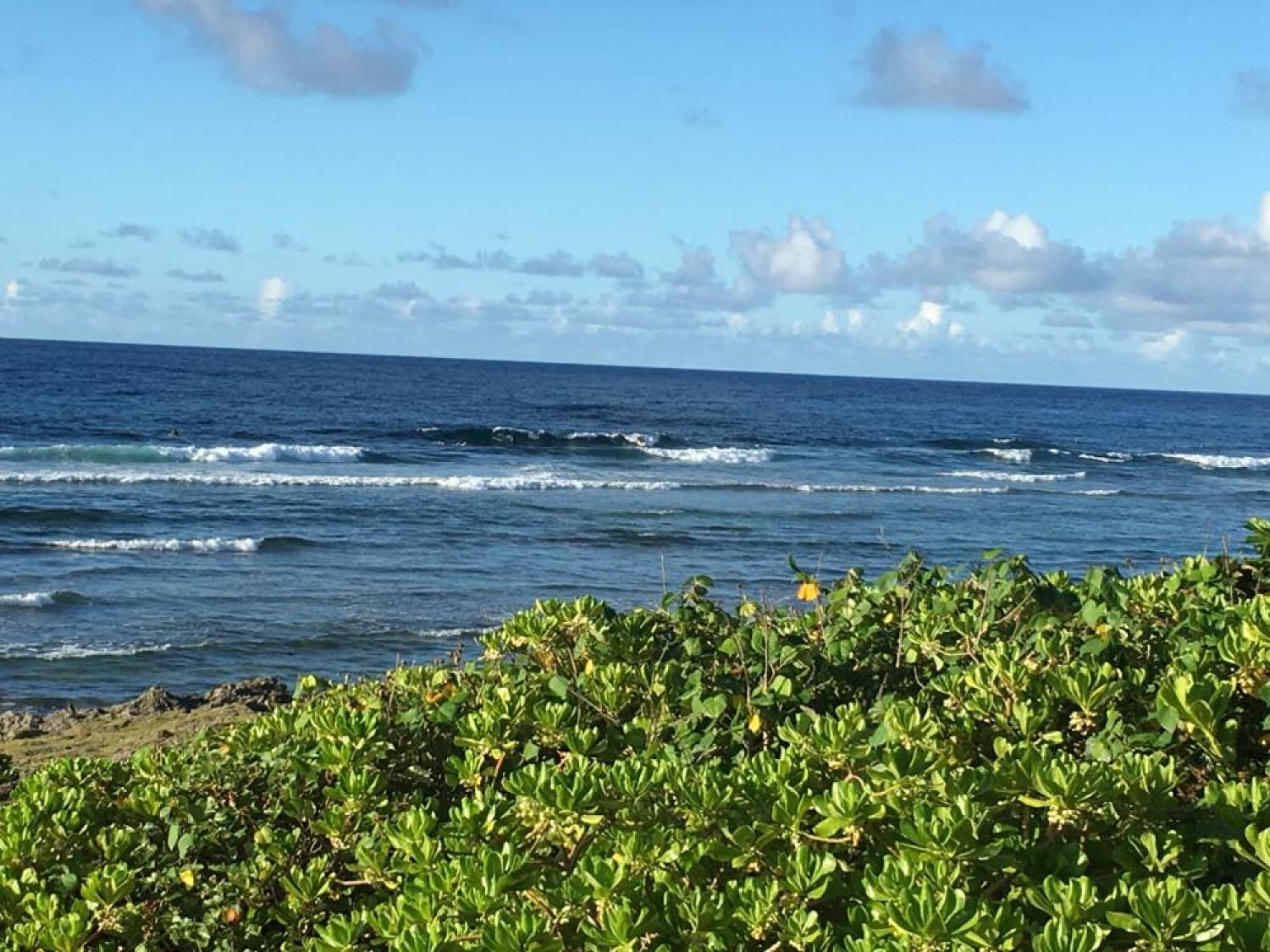 Aug 25 suicide point wave information 3
