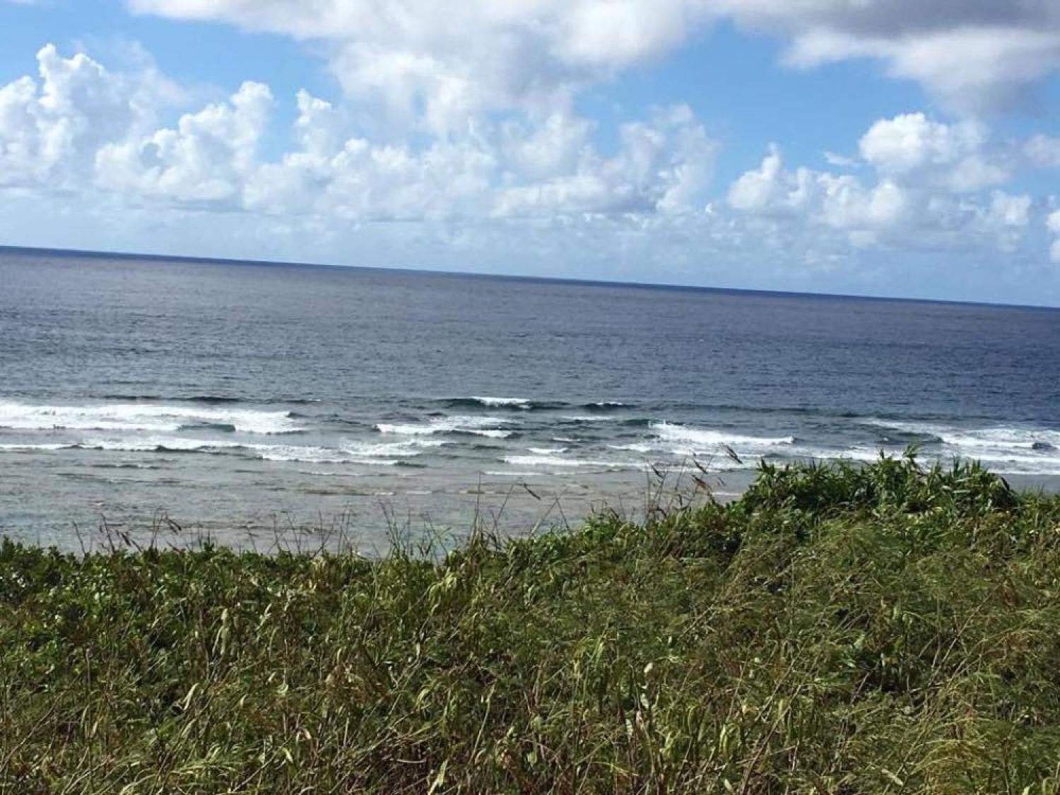 Aug 29 suicide point wave information 2