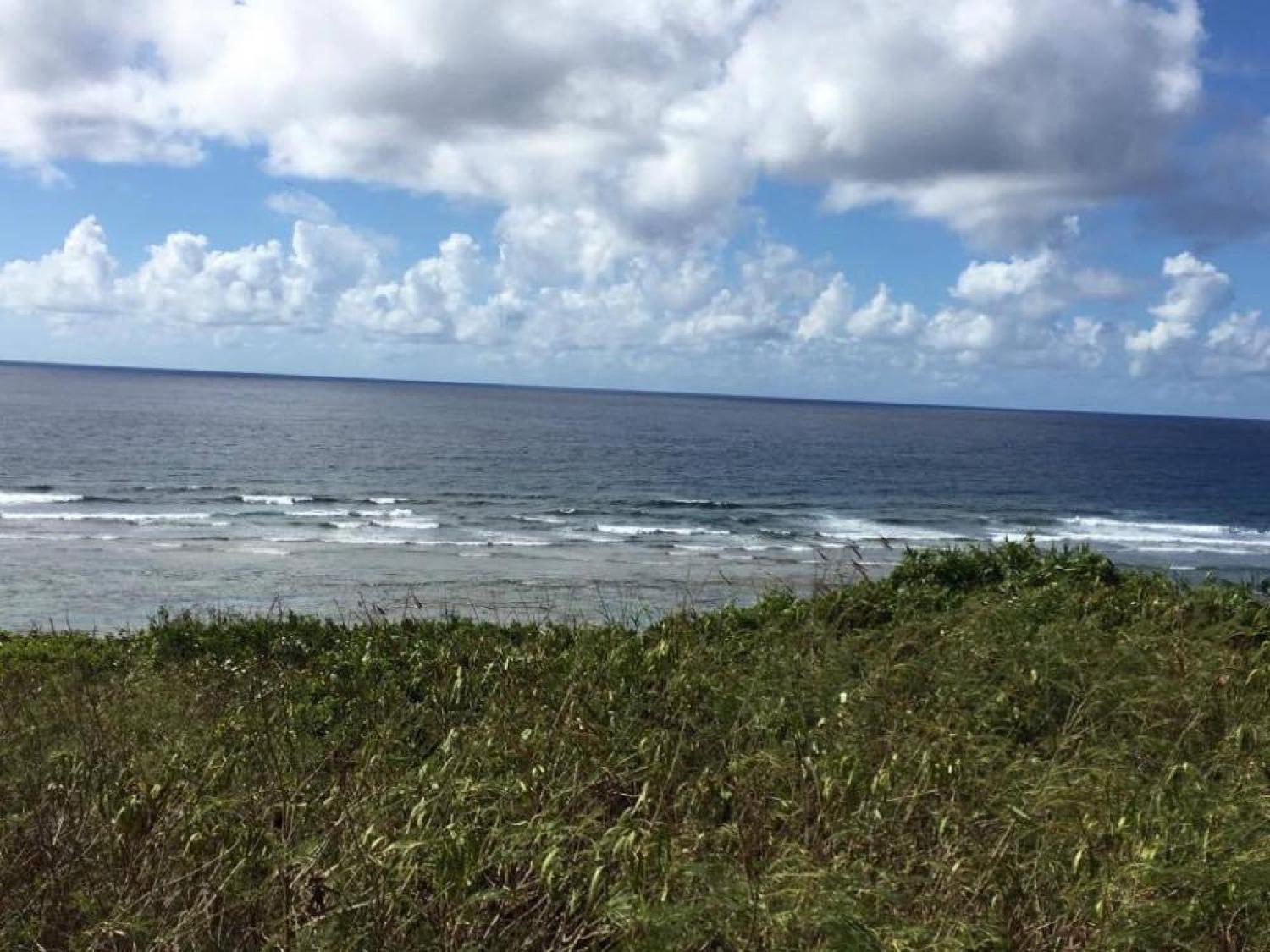 Aug 29 suicide point wave information 4