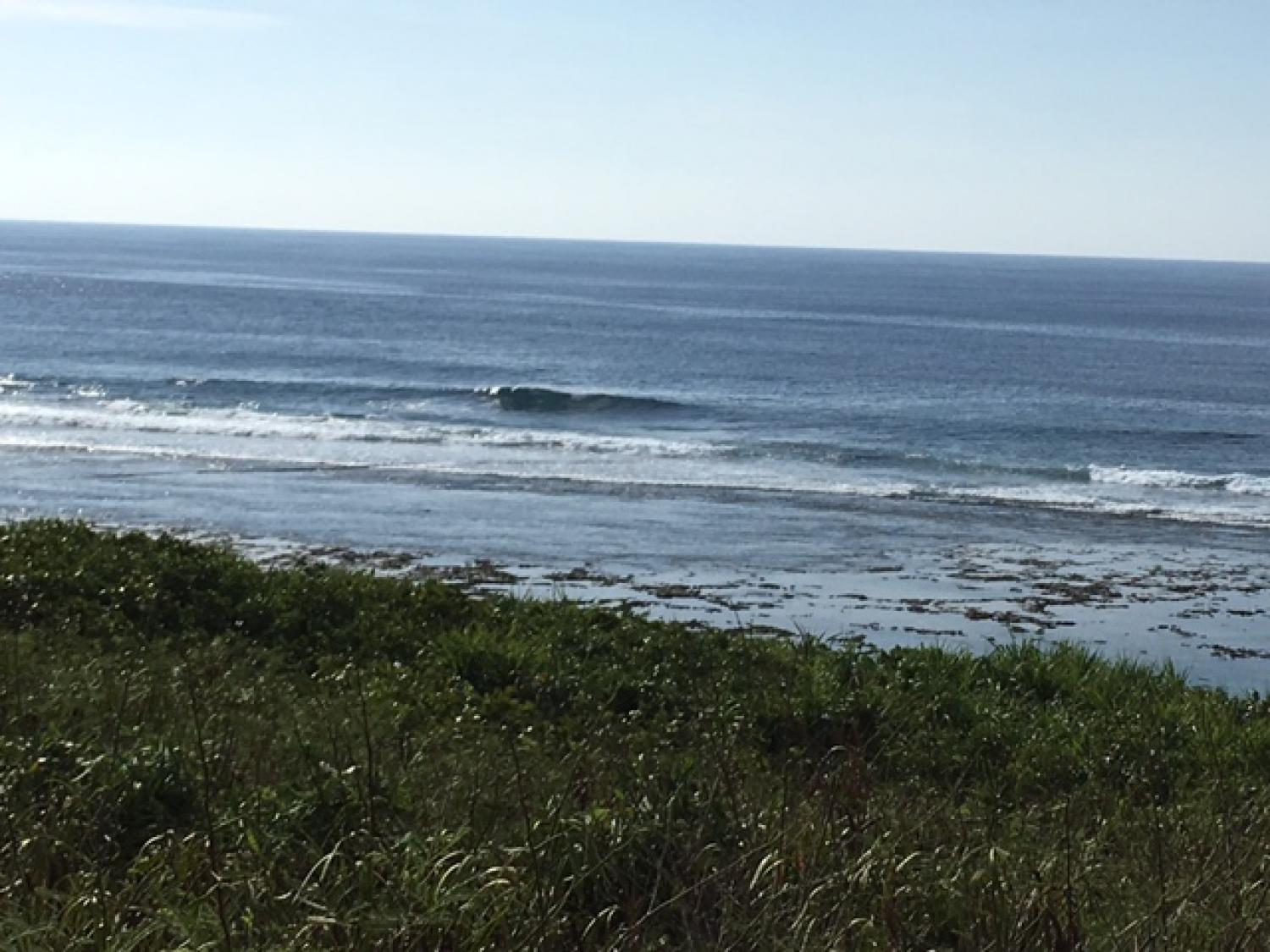 Sep 2 suicide point wave information 1