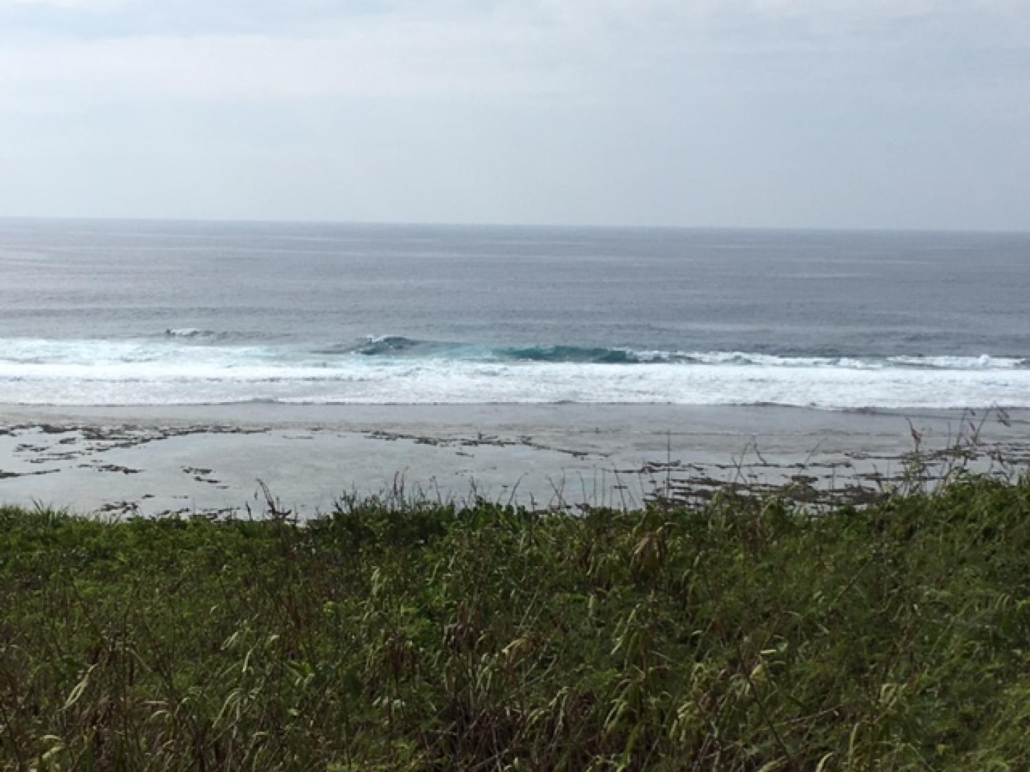 Sep 3 suicide point wave information 1