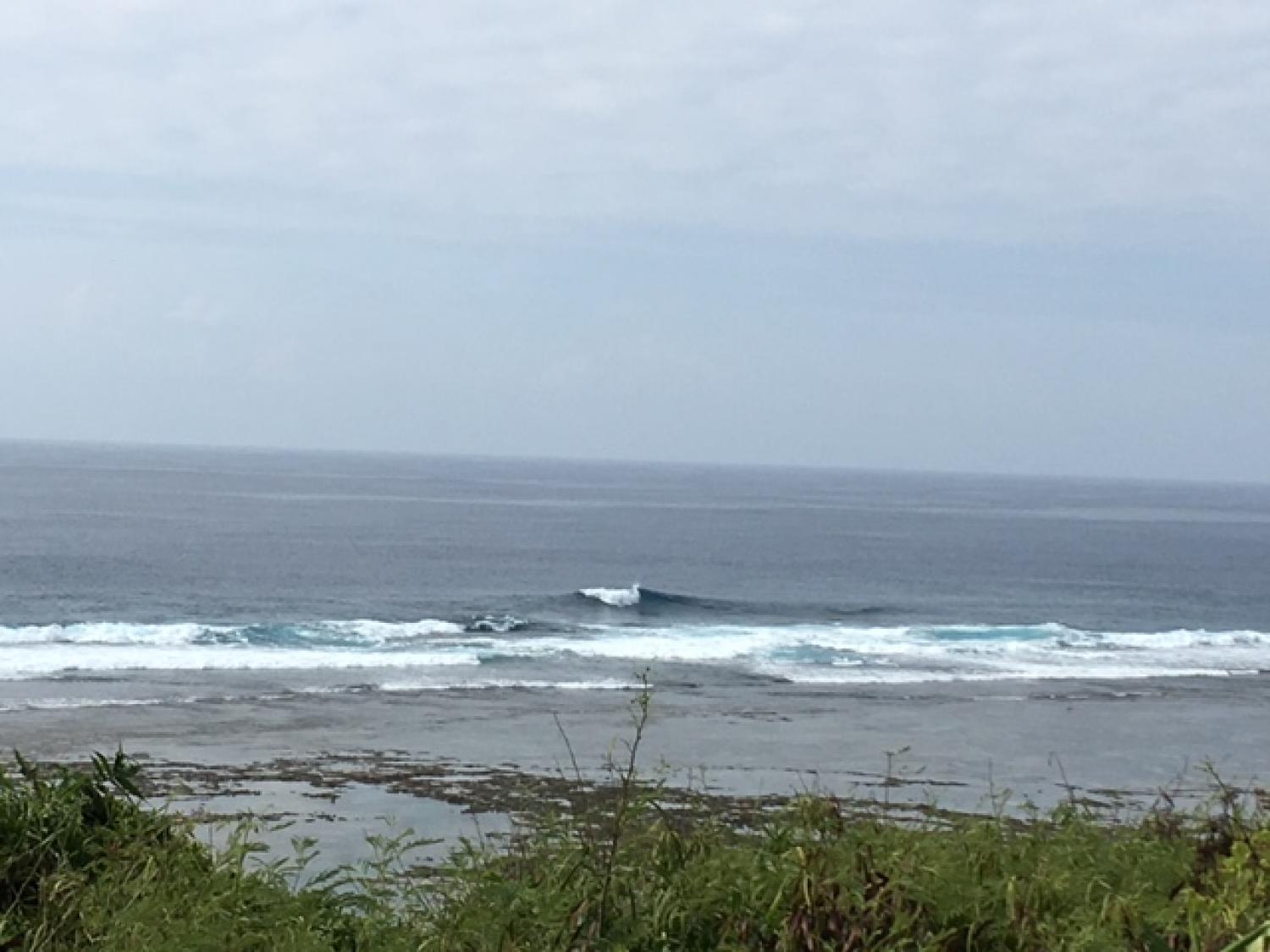 Sep 3 suicide point wave information 2