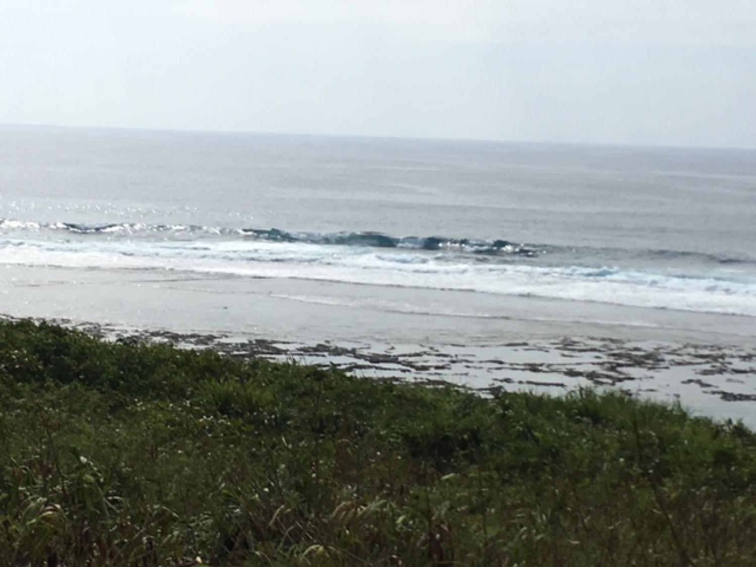 Sep 3 suicide point wave information 3