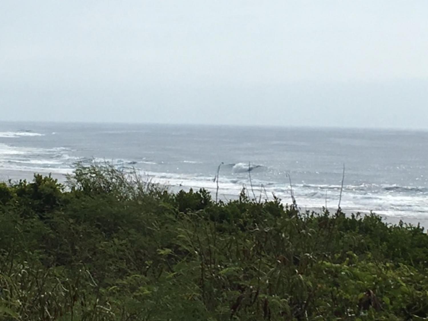Sep 3 suicide point wave information 4