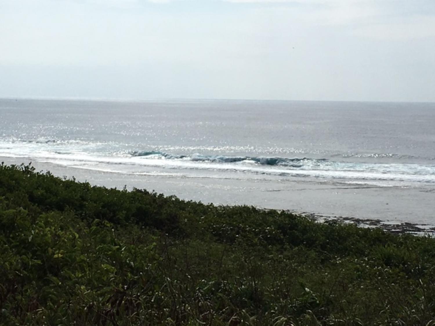 Sep 3 suicide point wave information 5
