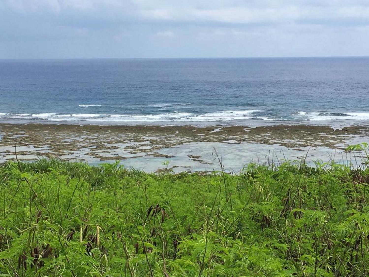 Sep 8 suicide point wave information 1