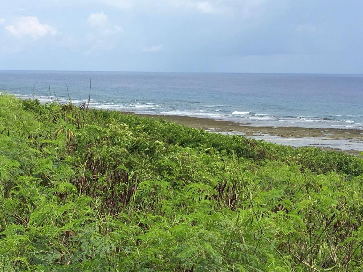 Sep 8 suicide point wave information 2