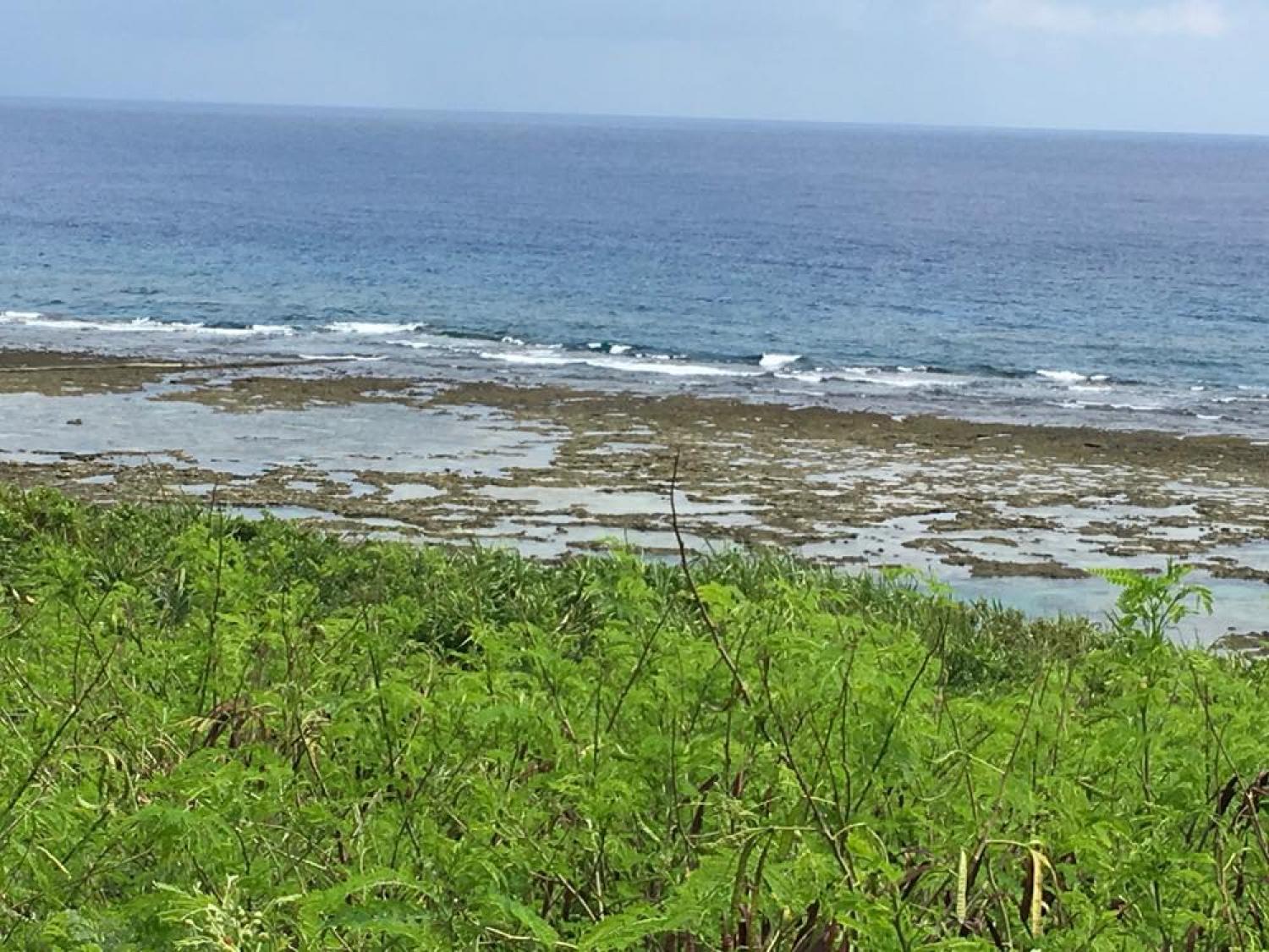 Sep 8 suicide point wave information 3
