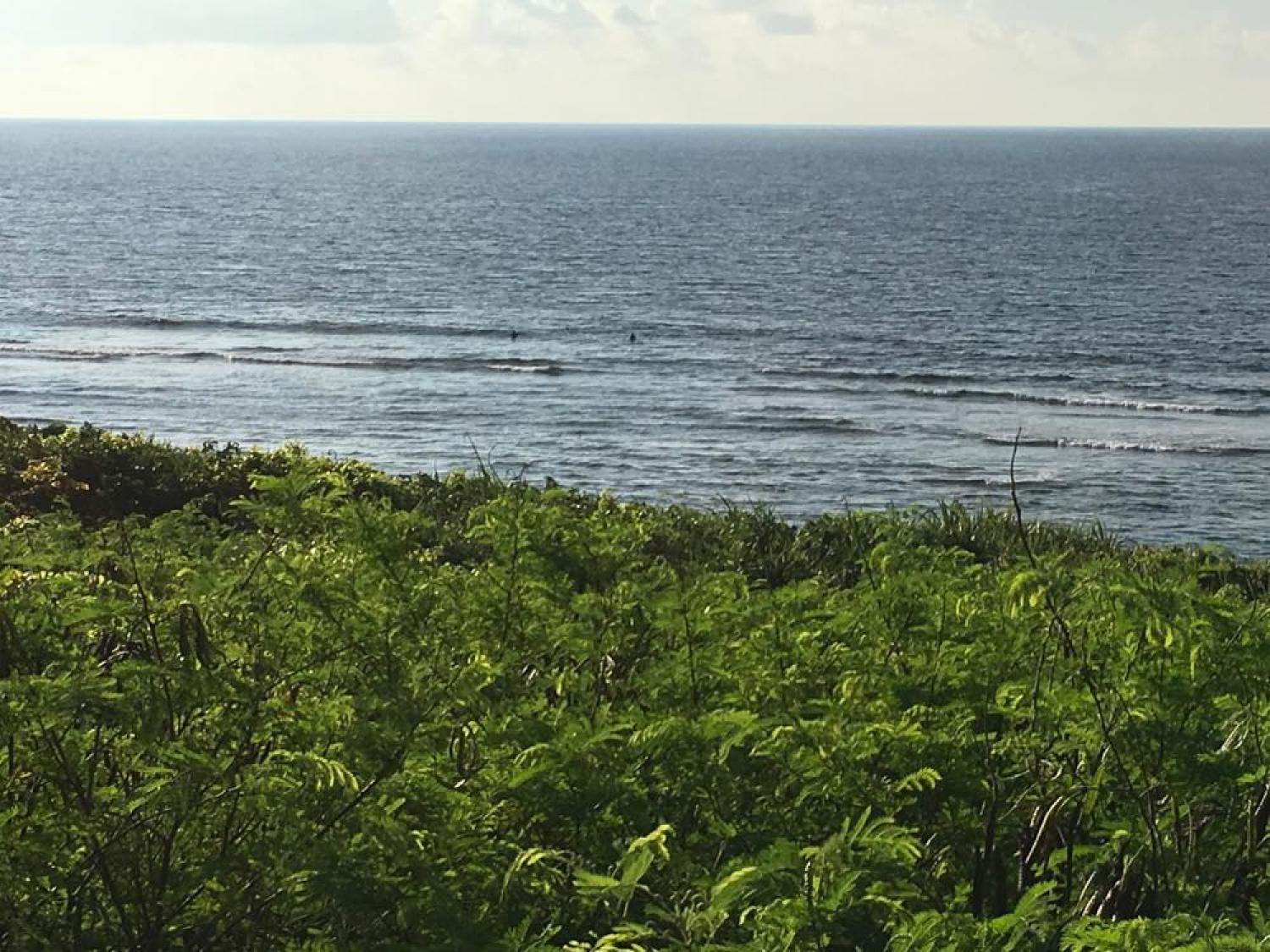 Sep 11 suicide point wave information 1