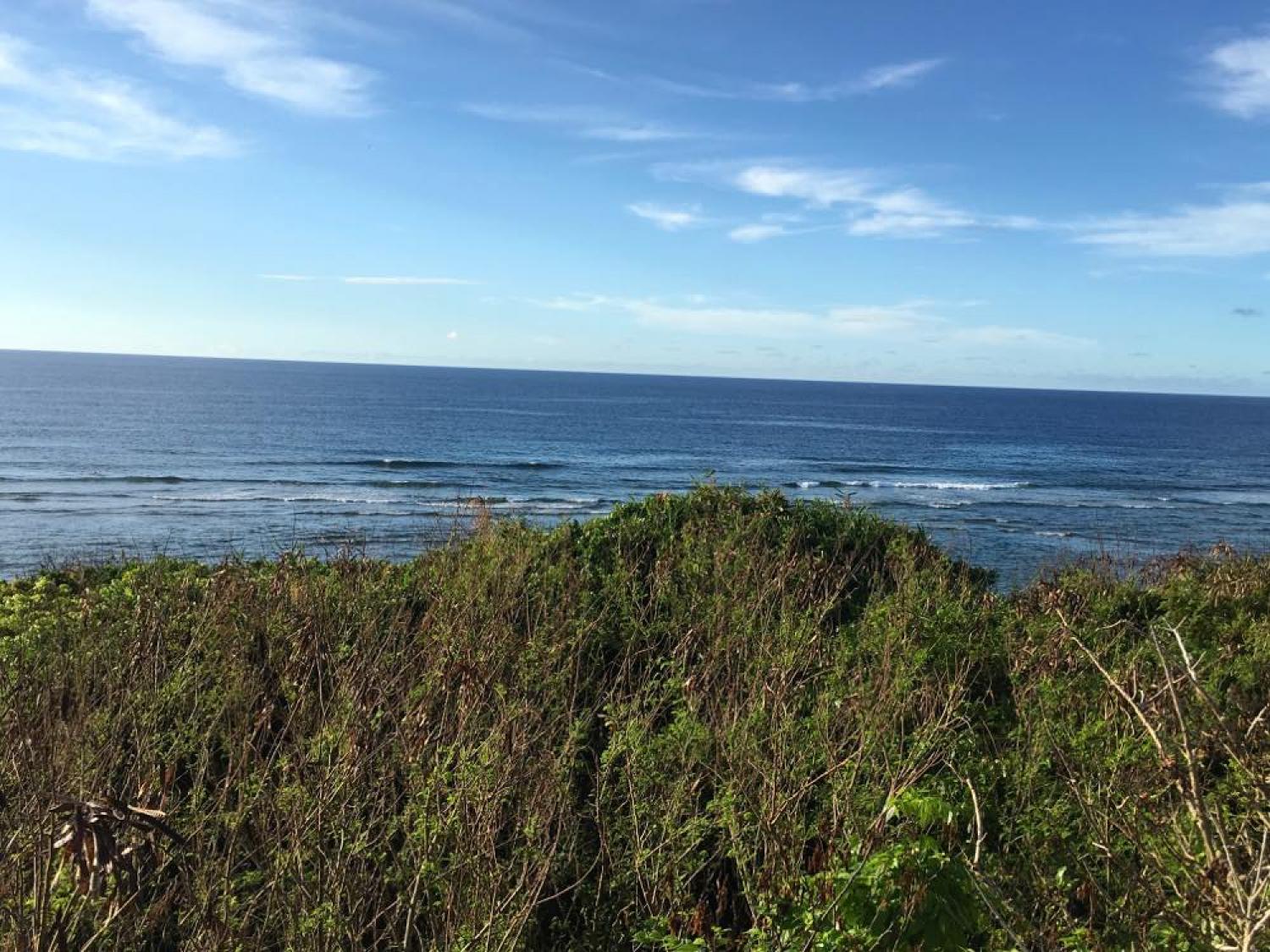 Sep 25 suicide point wave information 2