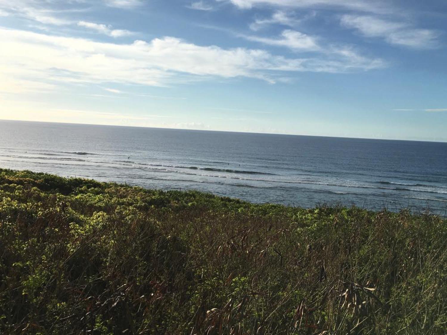 Sep 25 suicide point wave information 3