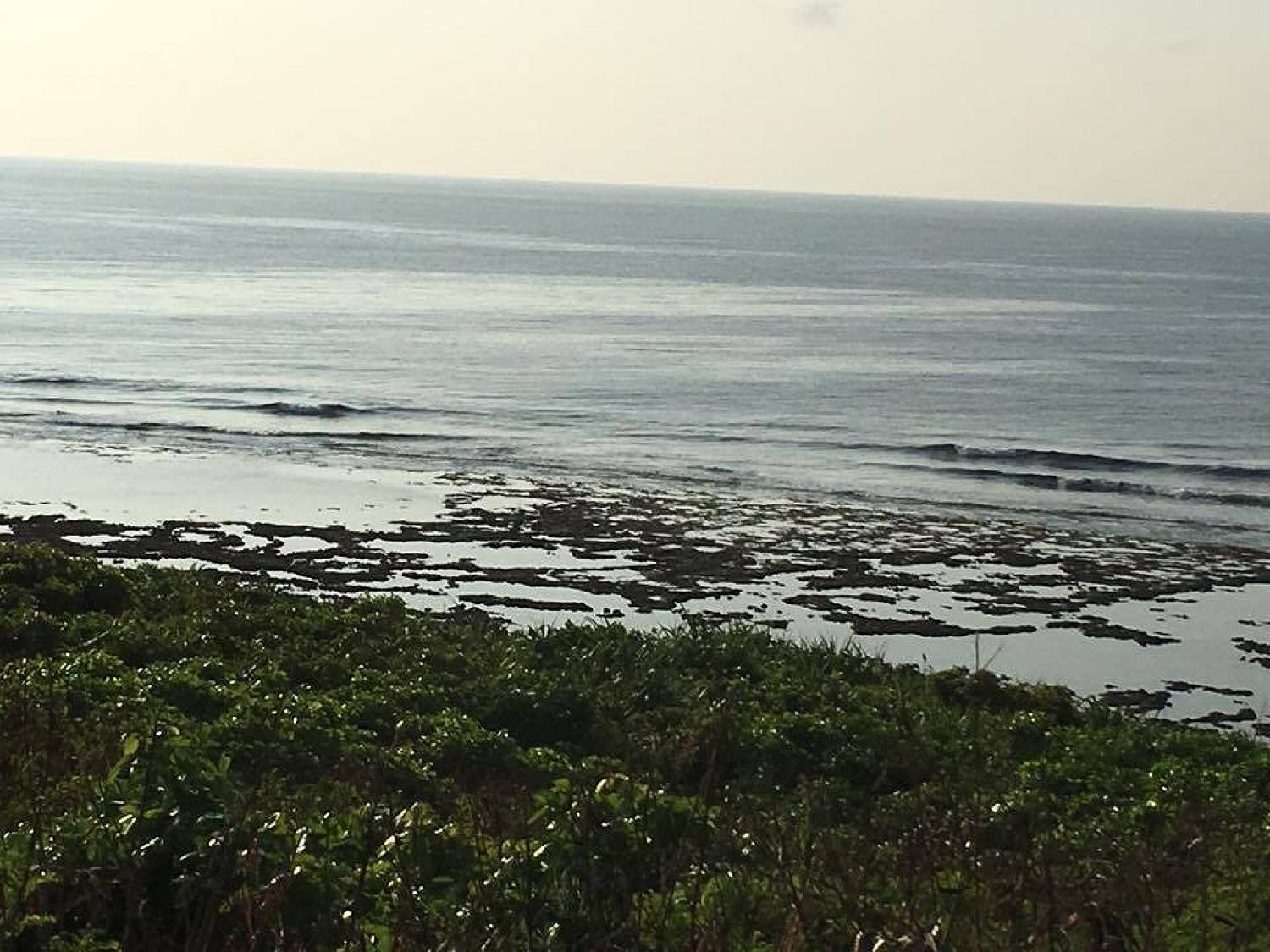 Sep 29 suicide point wave information 1