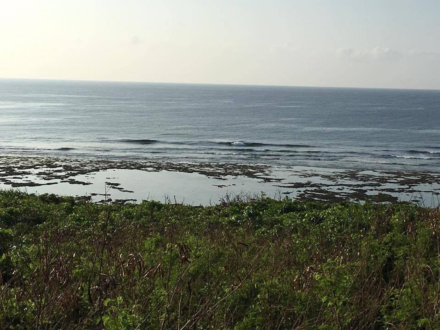 Sep 29 suicide point wave information 2