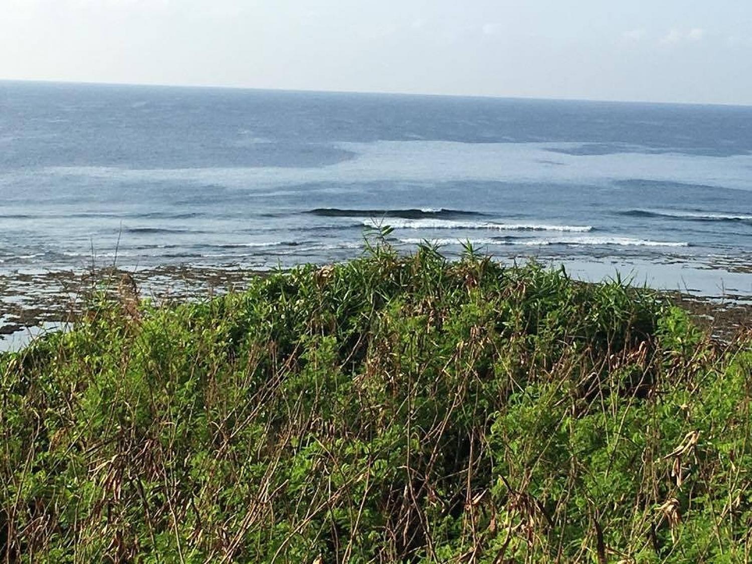 Sep 29 suicide point wave information 3
