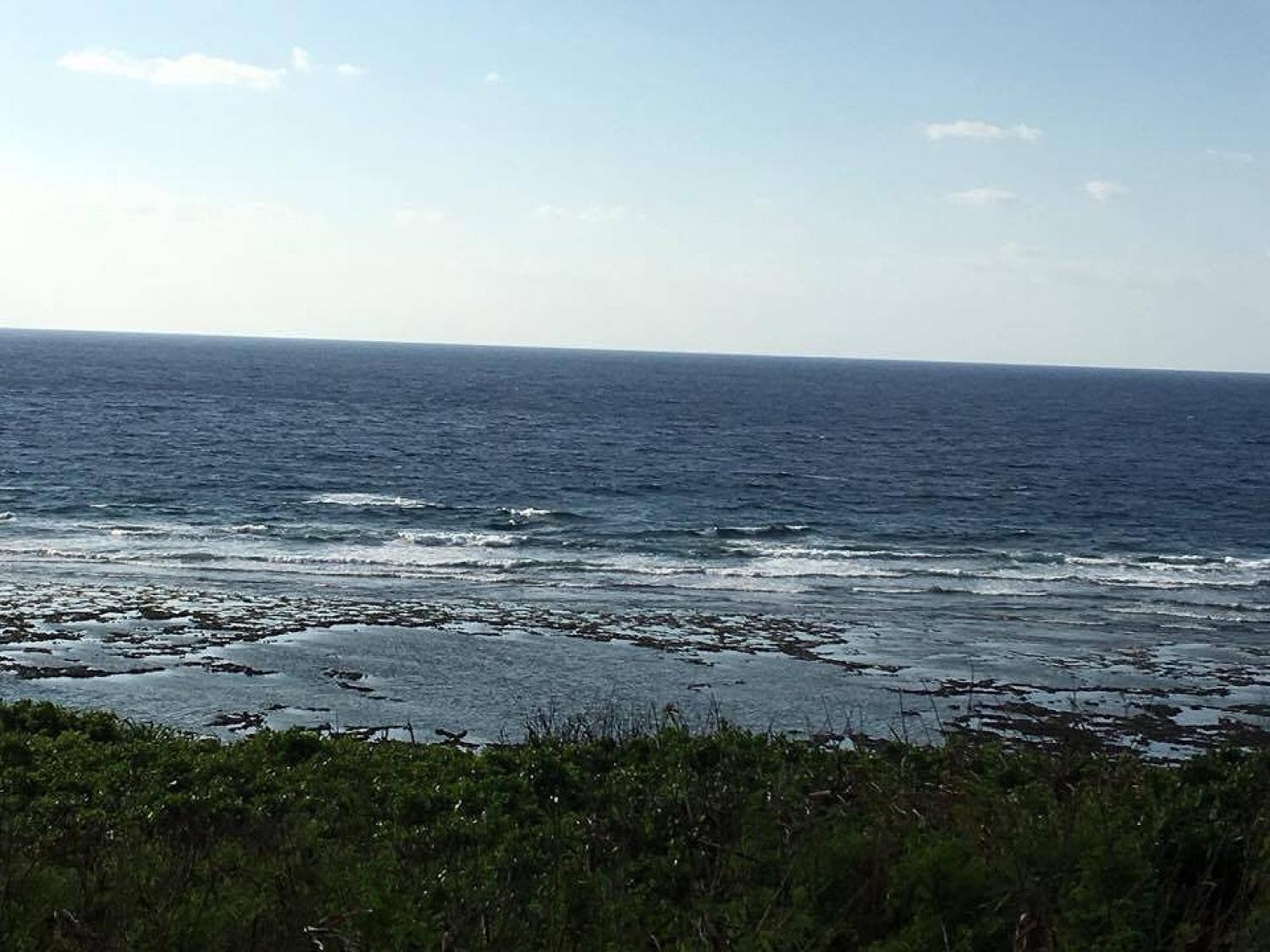 oct.1.suicide point information 1