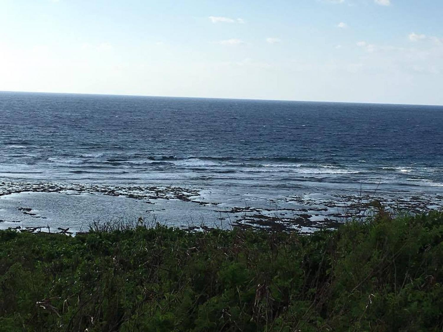 oct.1.suicide point information 2