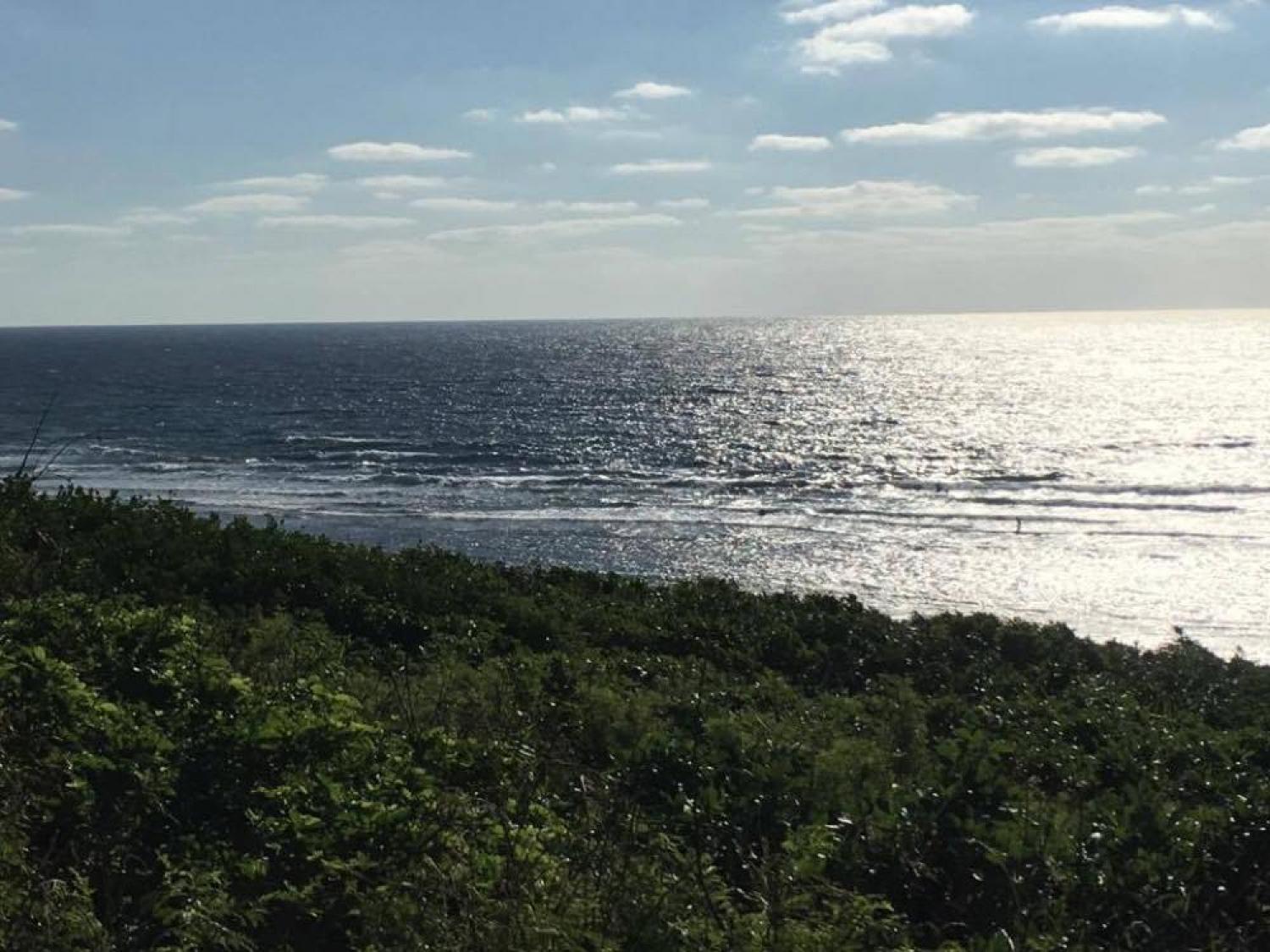 Nov 3 suicide point wave information 1