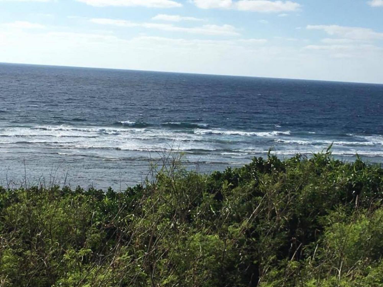 Nov 3 suicide point wave information 2