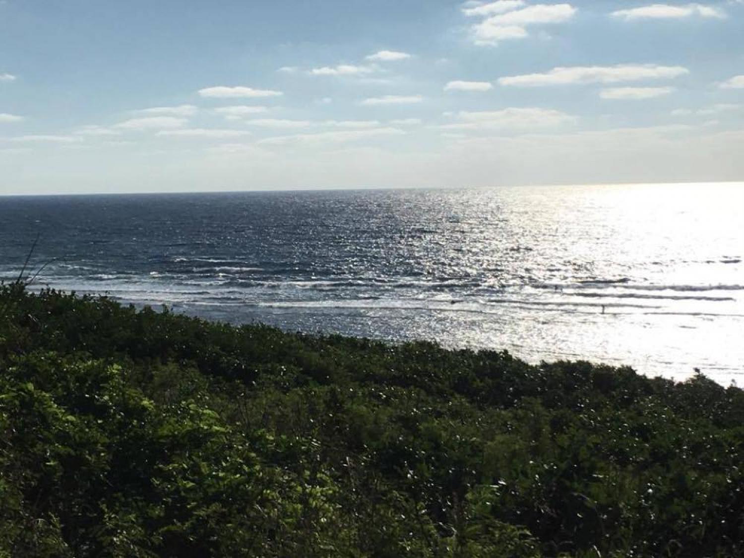 Nov 3 suicide point wave information 4