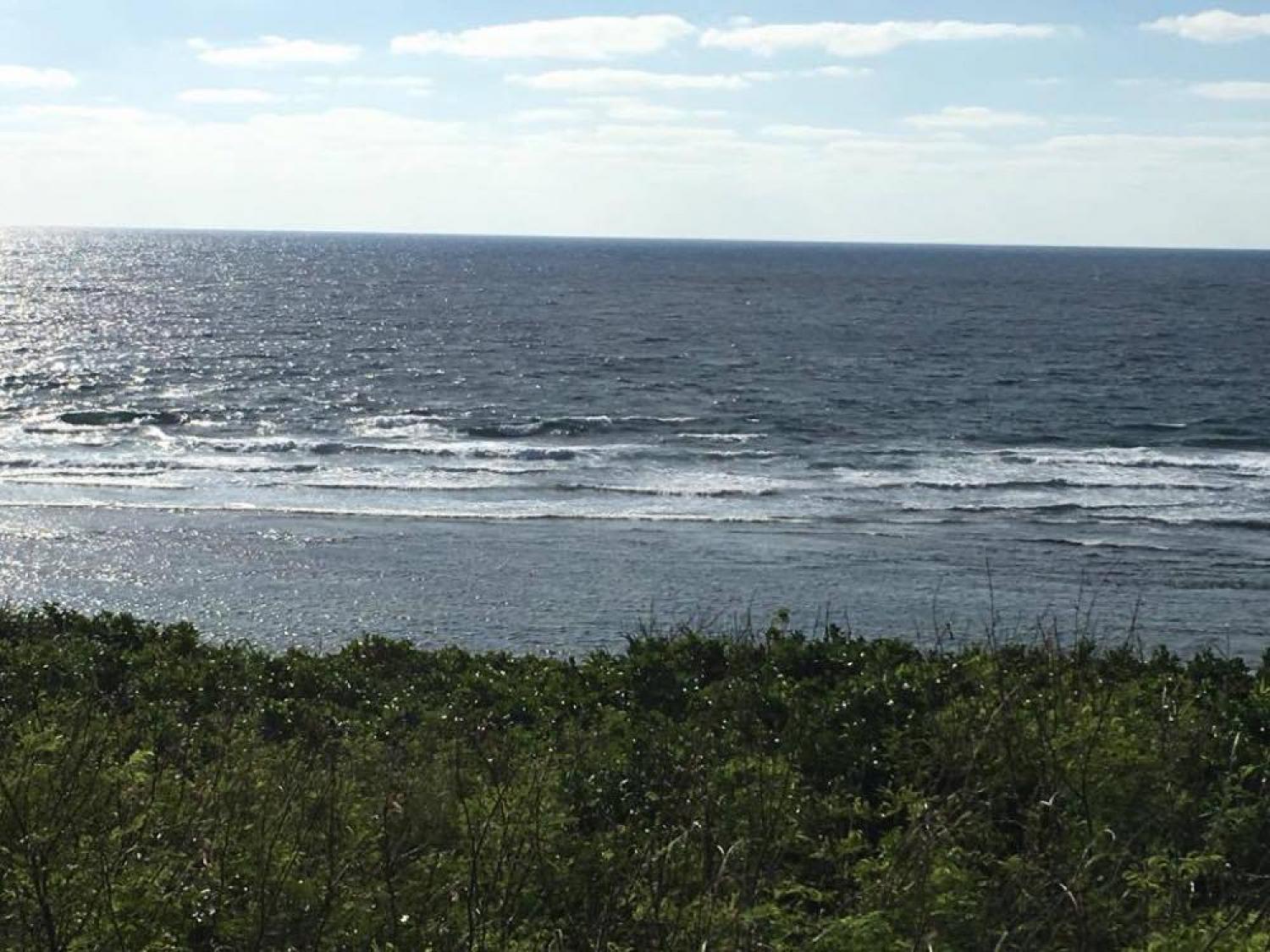 Nov 3 suicide point wave information 5