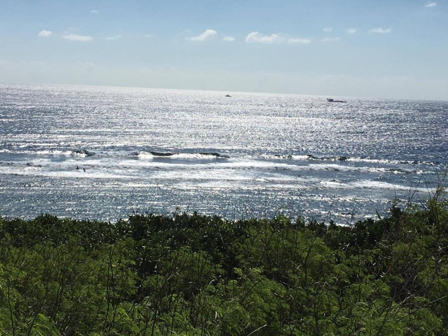 Nov 9 suicide point wave information 1
