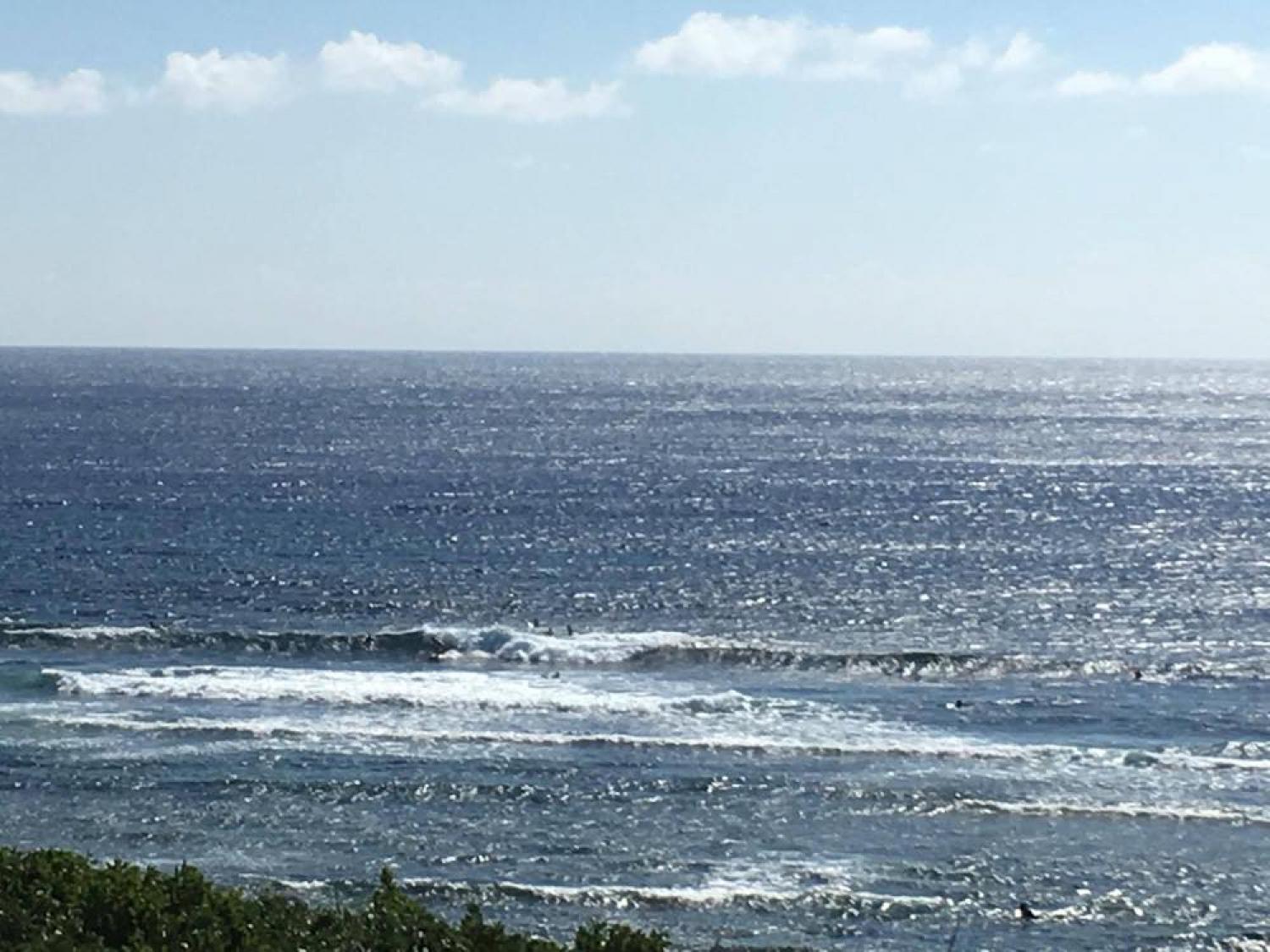Nov 9 suicide point wave information 2