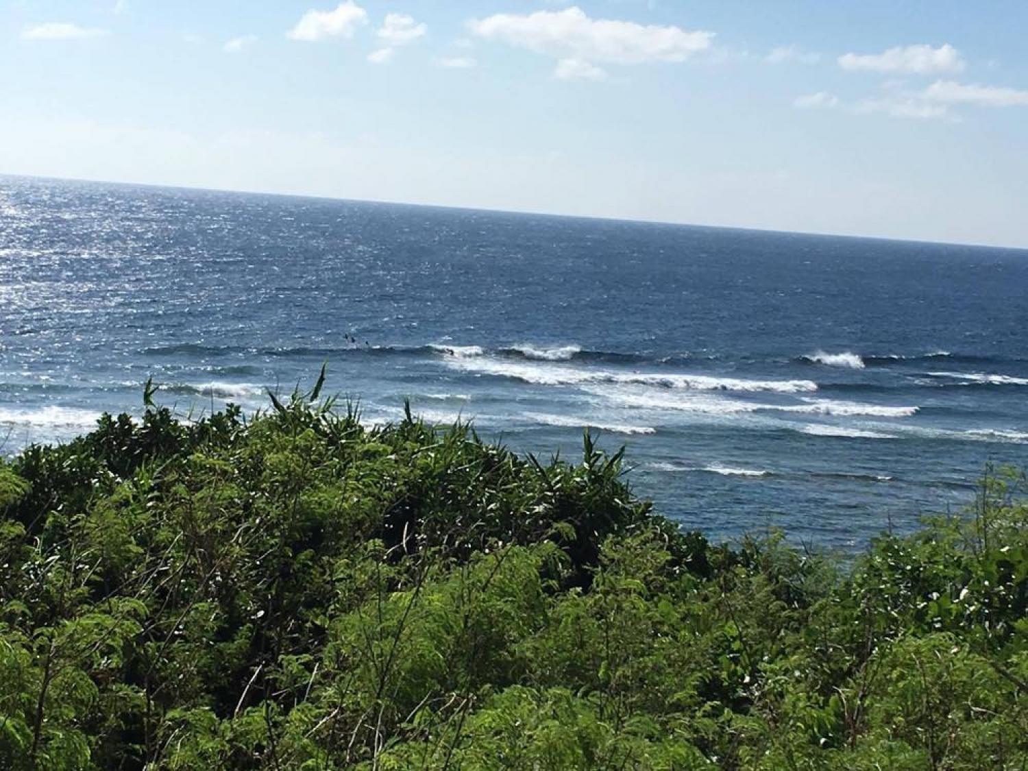 Nov 9 suicide point wave information 3