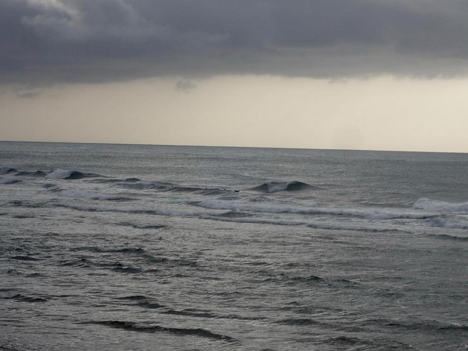 Nov 18 suicide point wave information 1