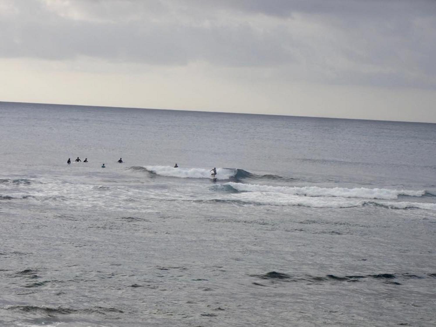 Nov 18 suicide point wave information 2