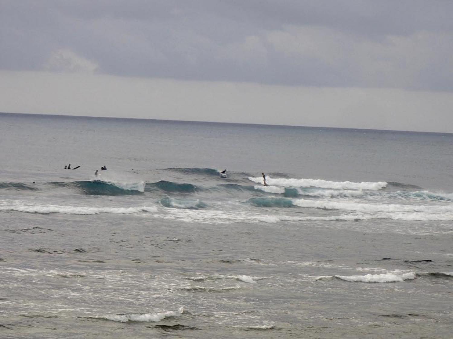 Nov 18 suicide point wave information 3
