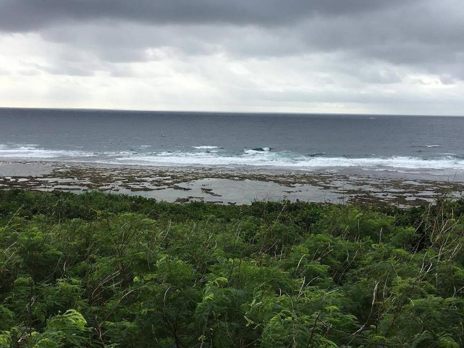 Nov 28 suicide point wave information 1