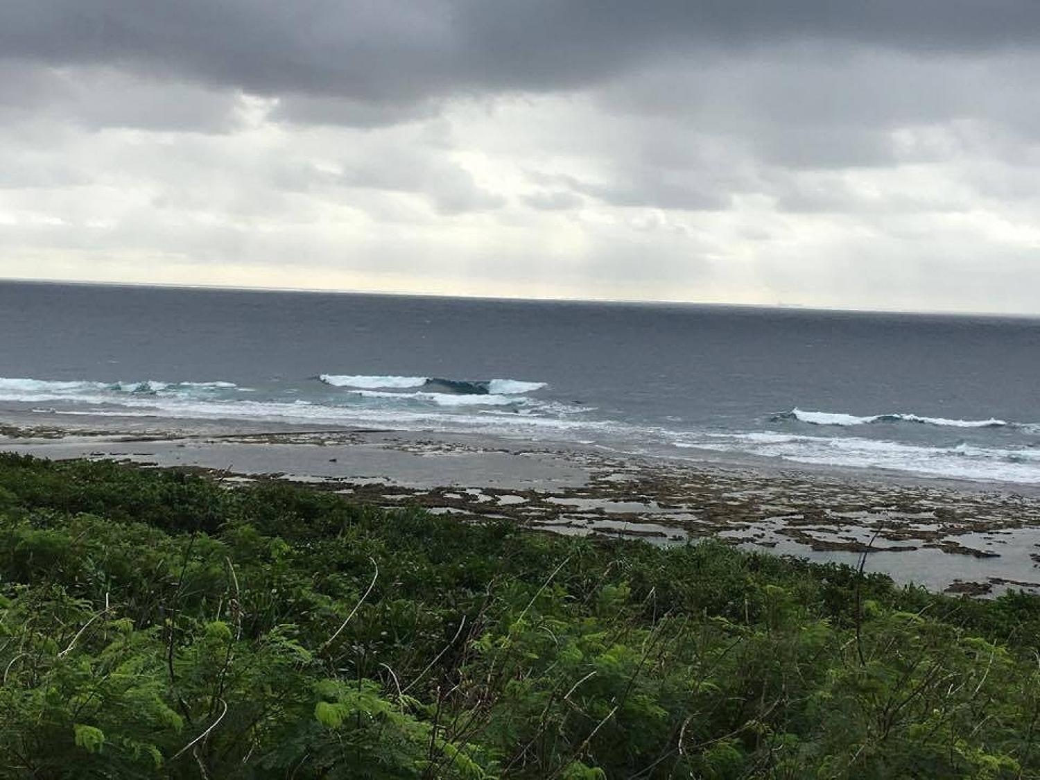 Nov 28 suicide point wave information 2