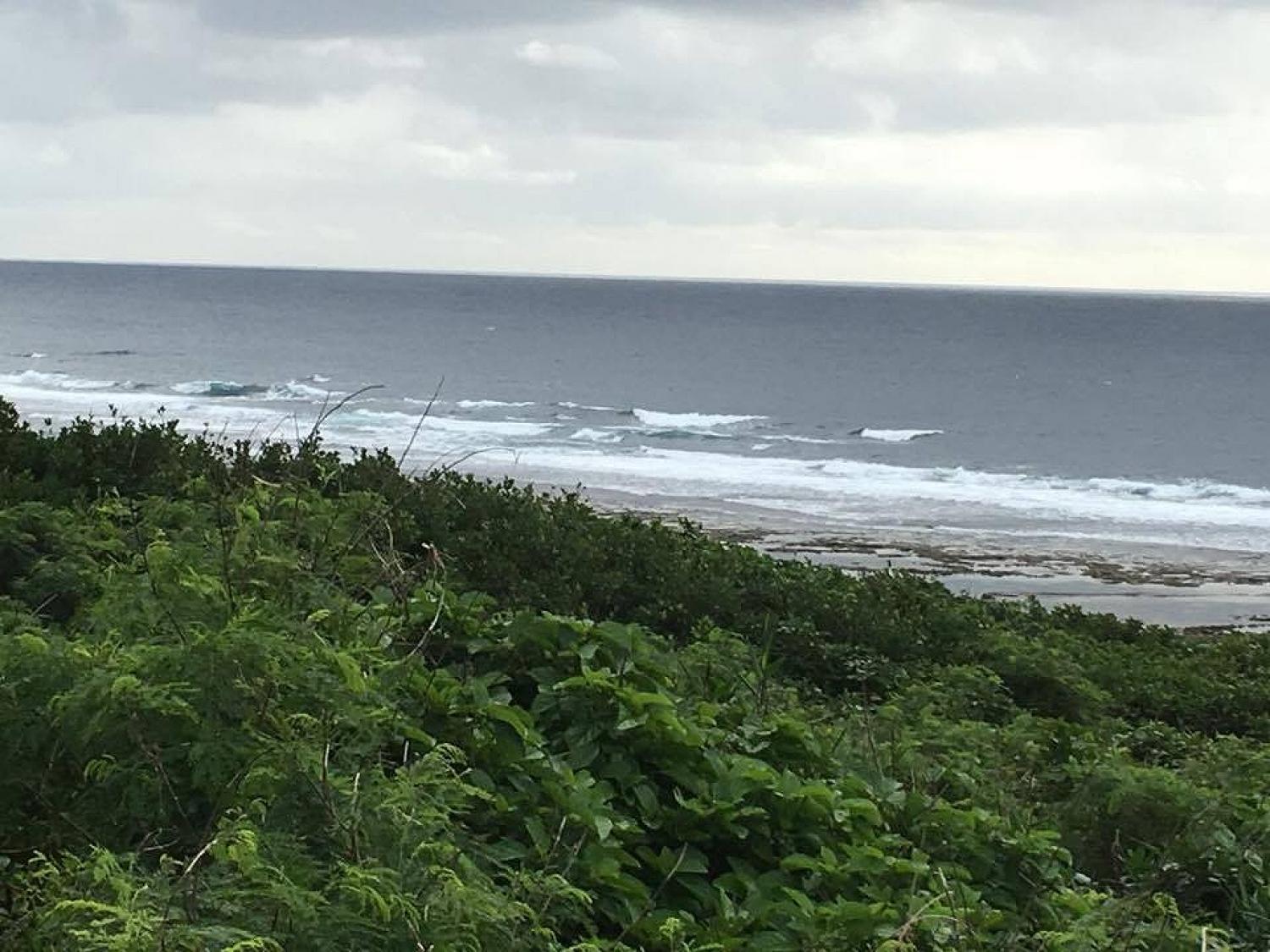 Nov 28 suicide point wave information 4