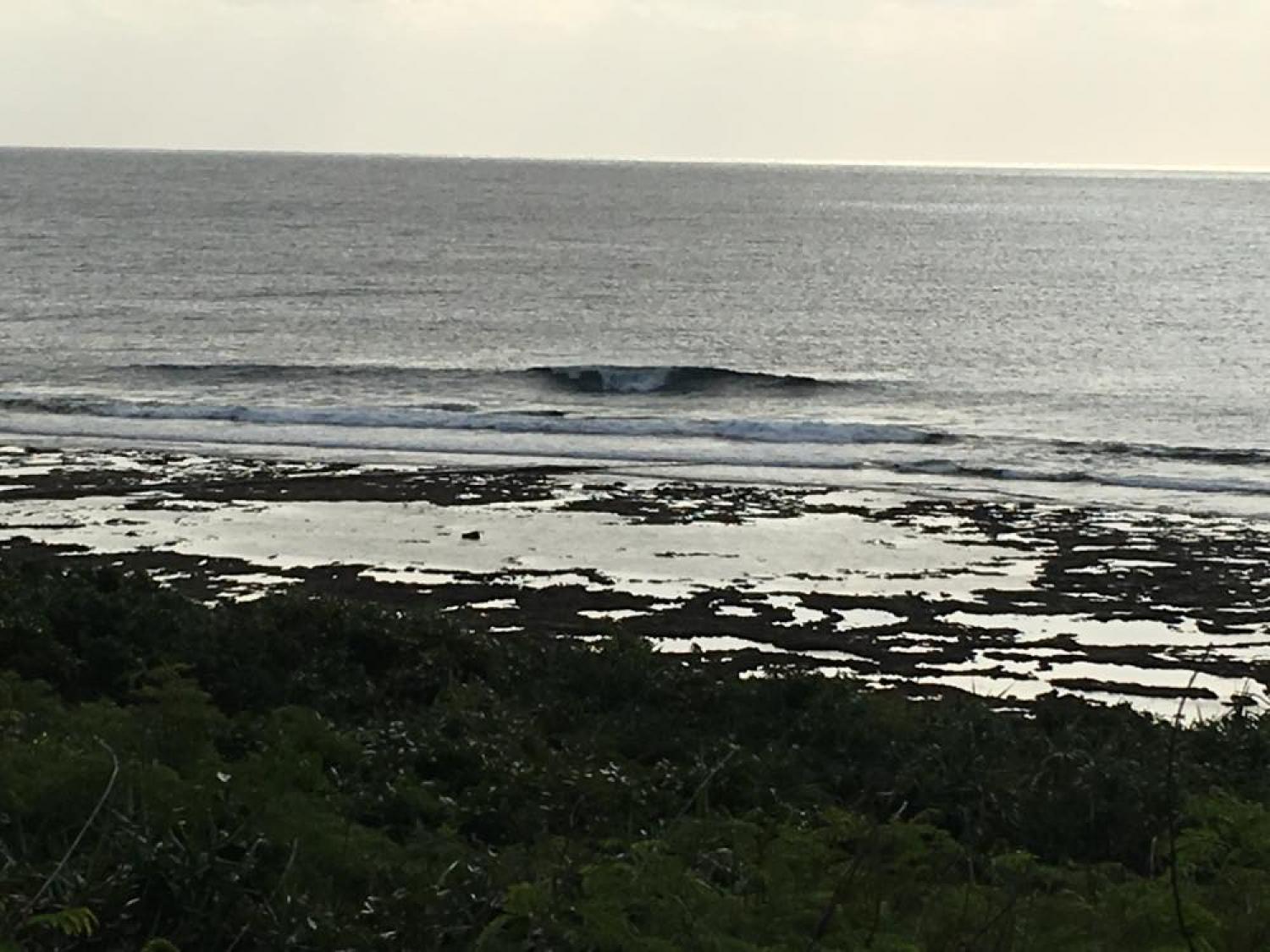 Dec 12 suicide point wave information 1