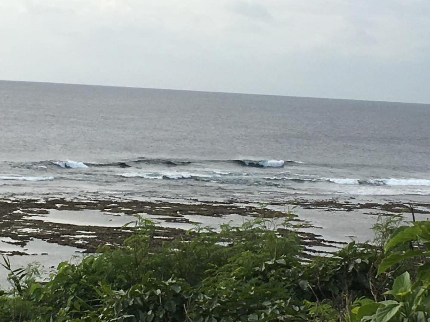 Dec 12 suicide point wave information 3