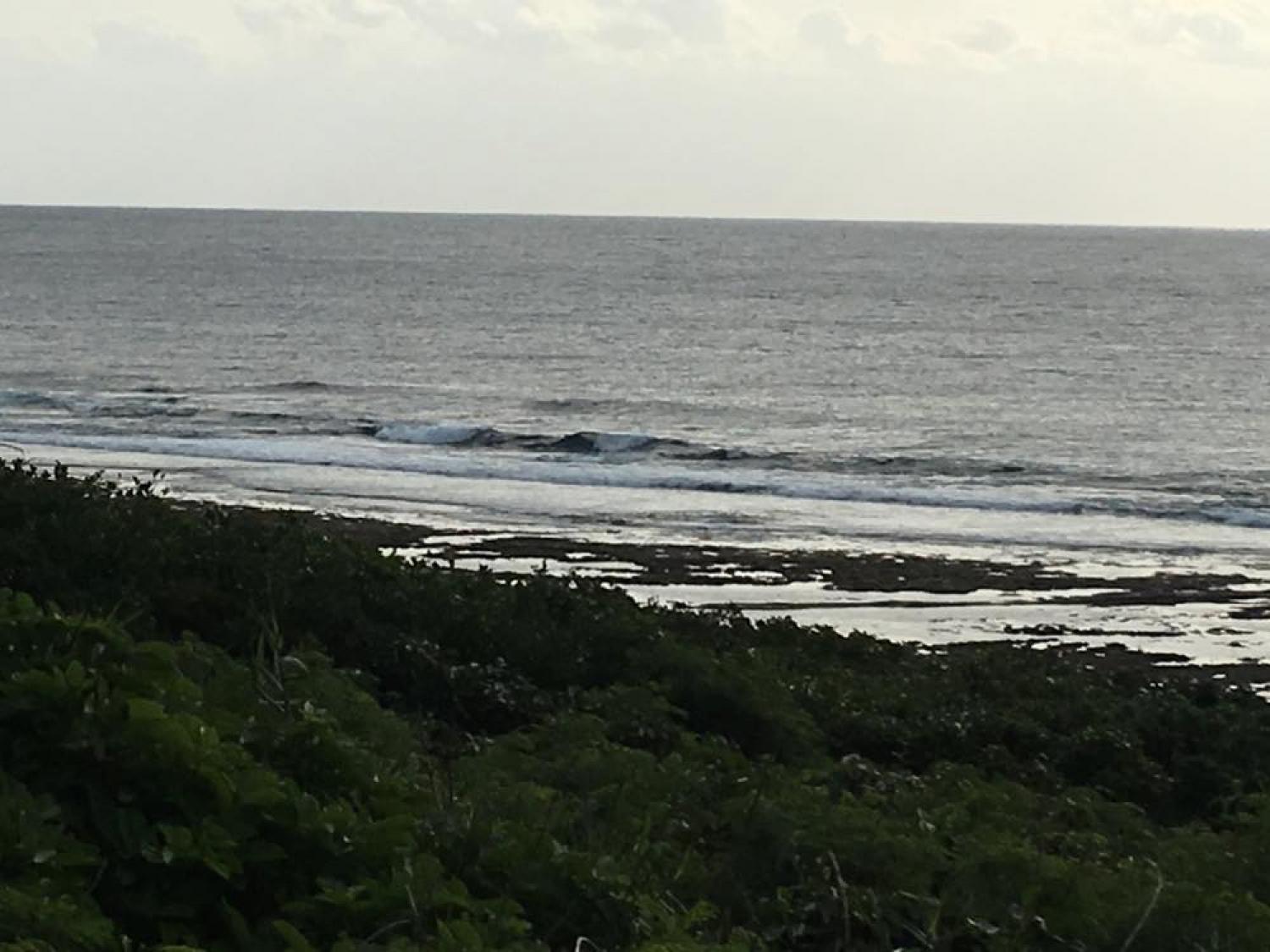 Dec 12 suicide point wave information 4