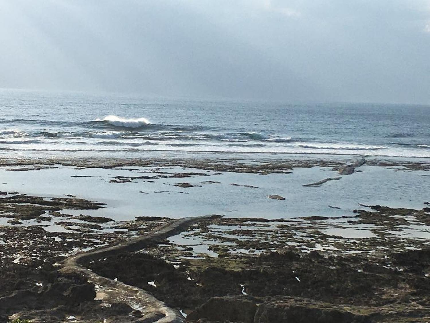 Dec 14 suicide point wave information 1