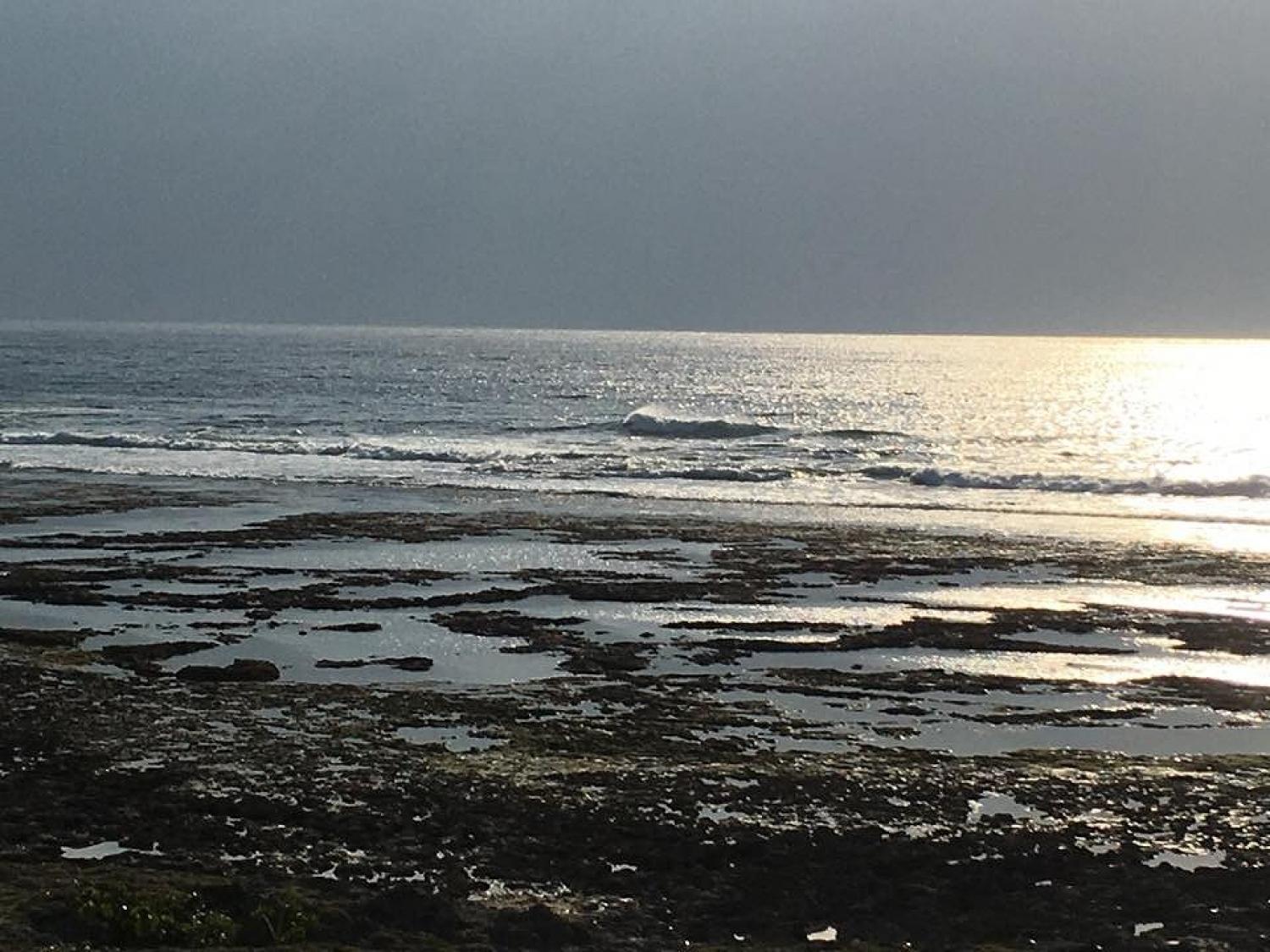 Dec 14 suicide point wave information 2