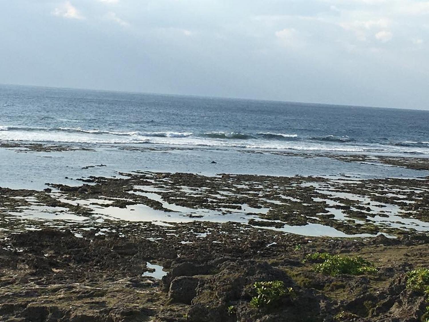 Dec 14 suicide point wave information 4