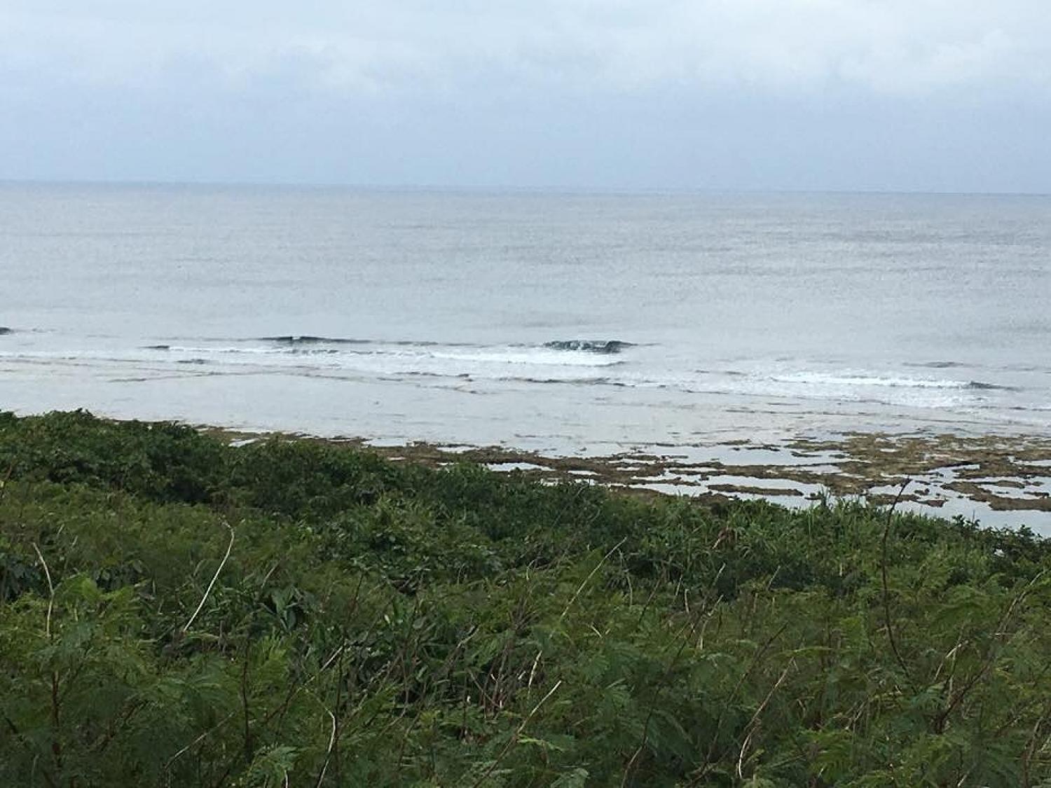 Jan 9 suicide point wave information 1
