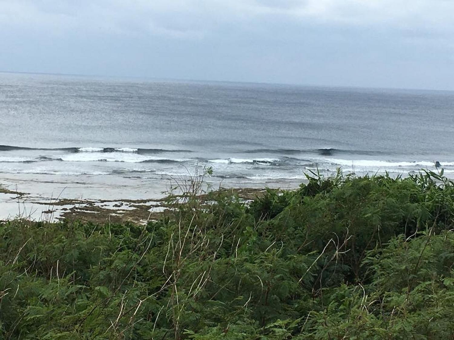 Jan 9 suicide point wave information 3