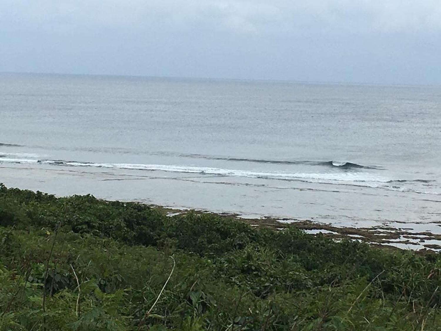 Jan 9 suicide point wave information 4