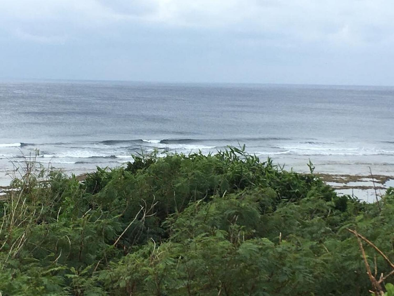 Jan 9 suicide point wave information 5