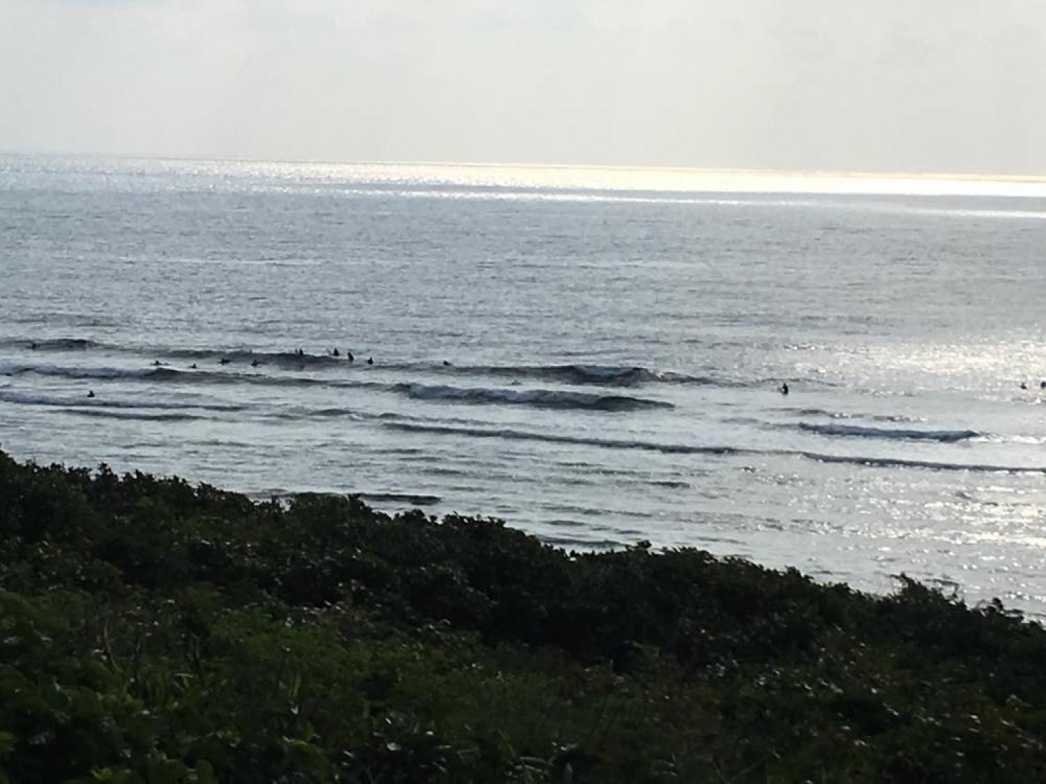 feb 18 suicide point wave information 1
