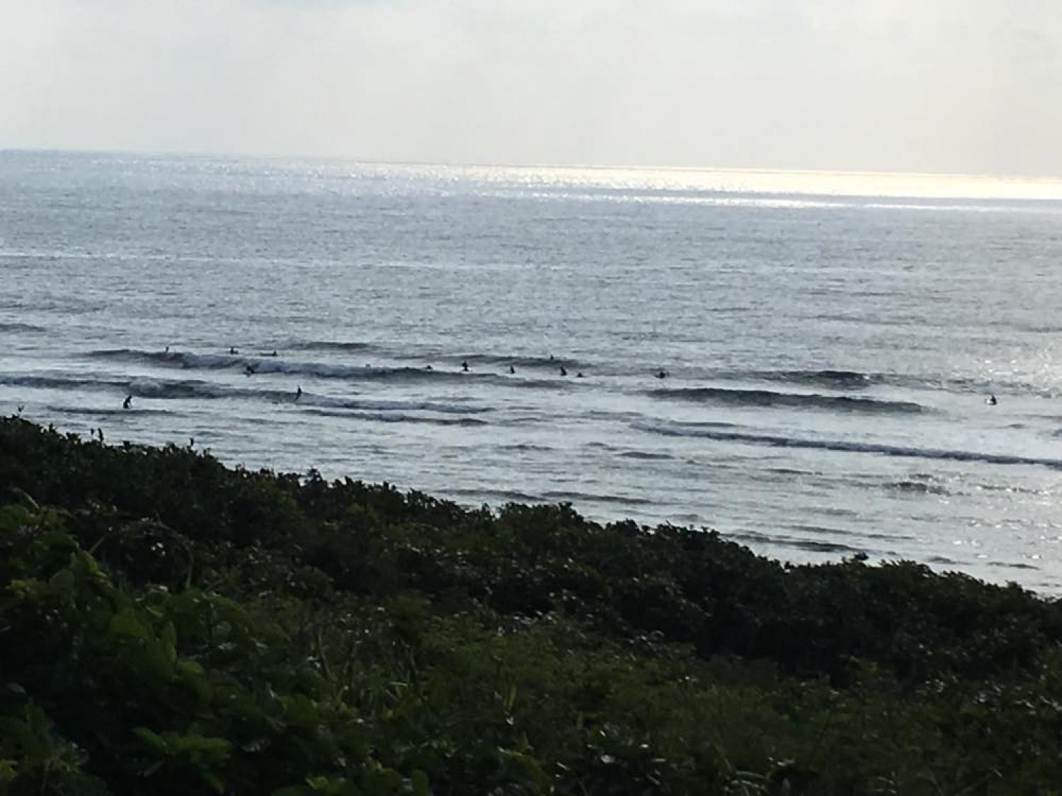 feb 18 suicide point wave information 2