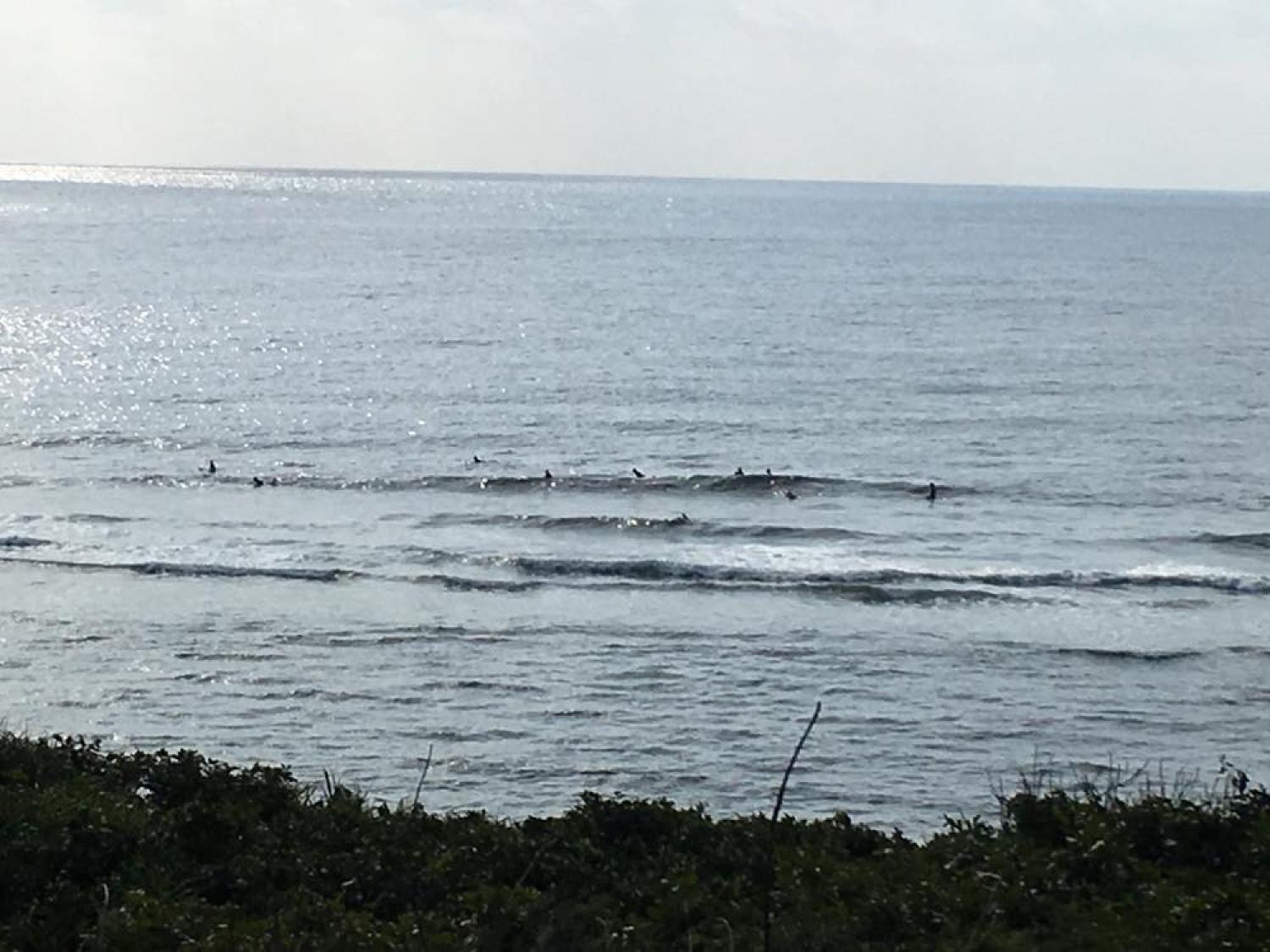feb 18 suicide point wave information 3